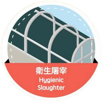 Hygienic Slaughter