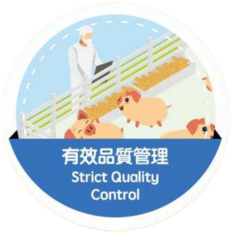 Strict Quality Control